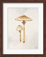 Woodland Mushroom I Fine Art Print