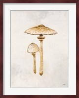 Woodland Mushroom I Fine Art Print