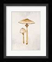 Woodland Mushroom I Fine Art Print
