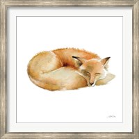 Sleeping Fox on White Fine Art Print