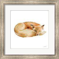Sleeping Fox on White Fine Art Print