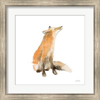 Dreaming Fox on White Fine Art Print