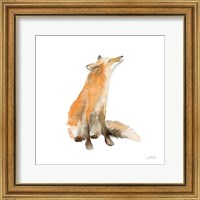 Dreaming Fox on White Fine Art Print