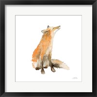 Dreaming Fox on White Fine Art Print