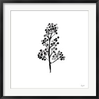 Botticelli Plant IV Black Fine Art Print