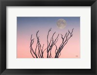 Reaching Up Moon Fine Art Print