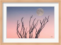 Reaching Up Moon Fine Art Print