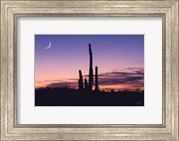 Desert Moons Fine Art Print