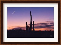 Desert Moons Fine Art Print