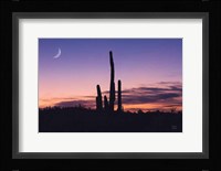 Desert Moons Fine Art Print