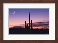 Desert Moons Fine Art Print