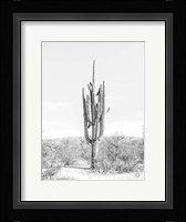 Standing Alone Fine Art Print
