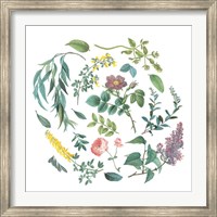 Victorian Garden Bright I Fine Art Print