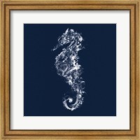 Seahorse Fine Art Print