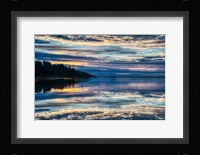 Lavender Morning Fine Art Print