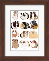 Guinea Pigs In Glasses Fine Art Print