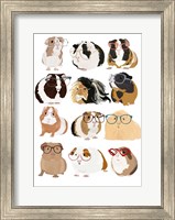 Guinea Pigs In Glasses Fine Art Print