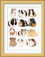 Guinea Pigs In Glasses Fine Art Print