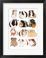 Guinea Pigs In Glasses Framed Print
