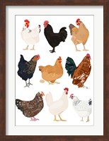 Hens In Glasses Fine Art Print