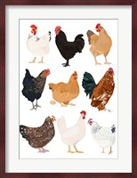 Hens In Glasses Fine Art Print