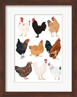 Hens In Glasses Fine Art Print