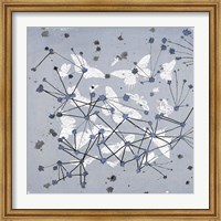 19th Century Butterfly Constellations in Blue I Fine Art Print