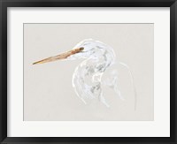 Bright Egret Sketch II Framed Print