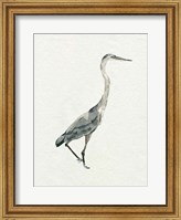 Saltwater Herons I Fine Art Print