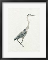 Saltwater Herons I Framed Print