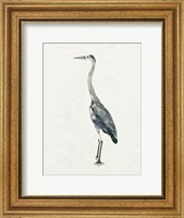 Saltwater Herons II Fine Art Print