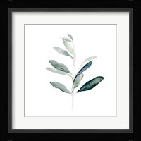 Summer Olive Branch I Framed Print
