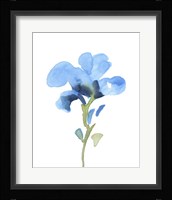 Striking Blue Iris I Framed Print