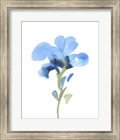 Striking Blue Iris I Fine Art Print