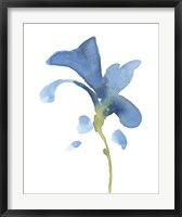 Striking Blue Iris V Fine Art Print