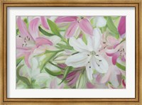 Pink and White Lilies IV Fine Art Print