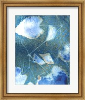 Cyanotype Leaves I Fine Art Print