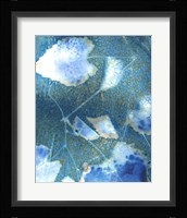 Cyanotype Leaves I Framed Print