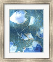 Cyanotype Leaves I Fine Art Print