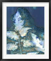 Cyanotype Leaves II Fine Art Print