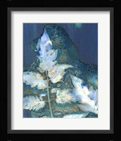 Cyanotype Leaves II Framed Print