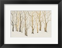 Bare Trees I Fine Art Print