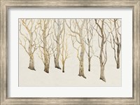 Bare Trees II Fine Art Print