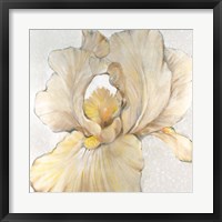 Iris Cream I Fine Art Print