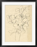 Contour Flower Sketch I Fine Art Print
