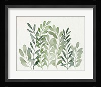 Foraged Greens II Framed Print
