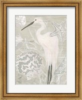 Driftwood Heron II Fine Art Print