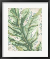 Palms & Patterns III Framed Print