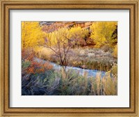 Autumn Chaos Along The Fremont Fine Art Print