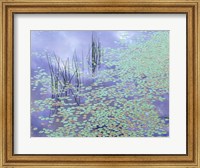 Damselfly and Lily Pads Fine Art Print